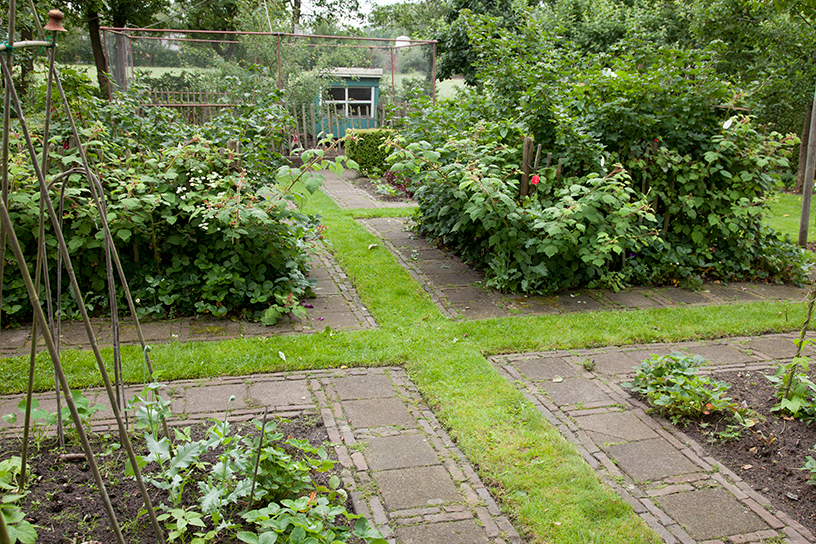 Pad door een fruittuin.